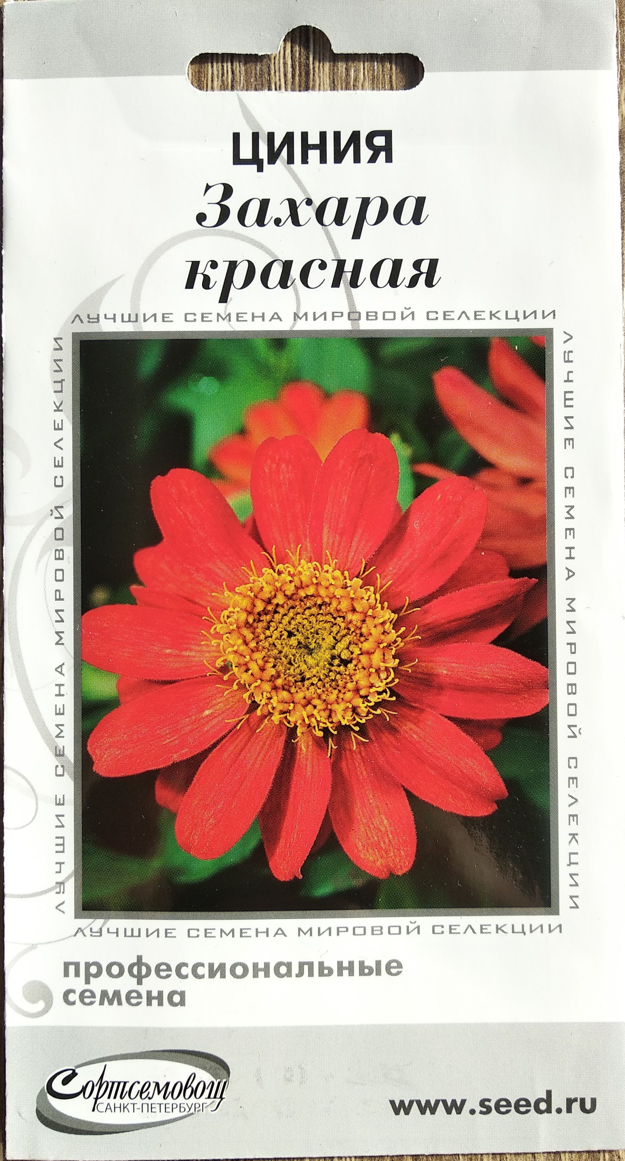 Циния, Циннии Дом Семян Циния Захара, красная - купить по выгодным ценам в  интернет-магазине OZON (404430914)