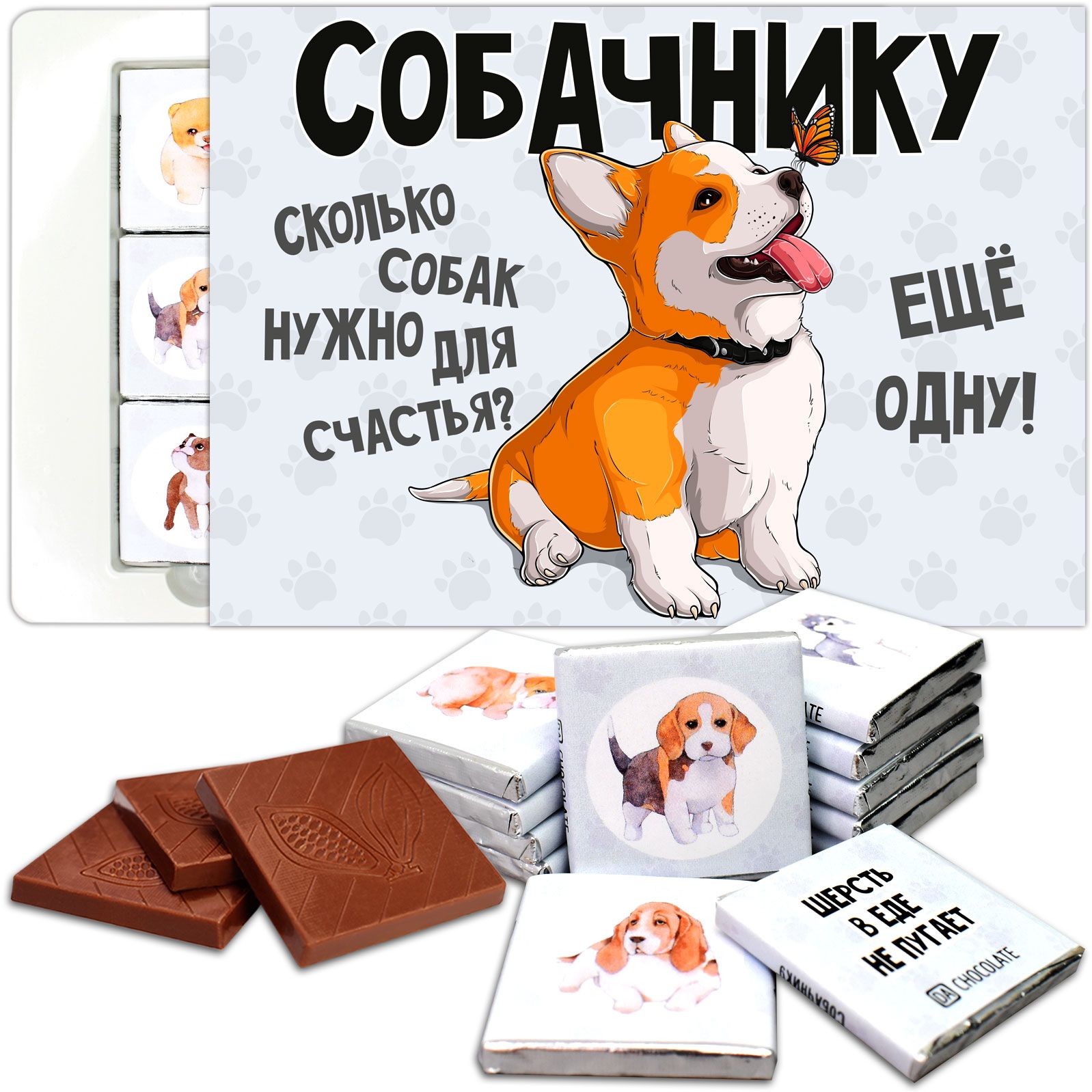 На летний юбилей пенсионера пришли более собак Рекомендуемые сообщения