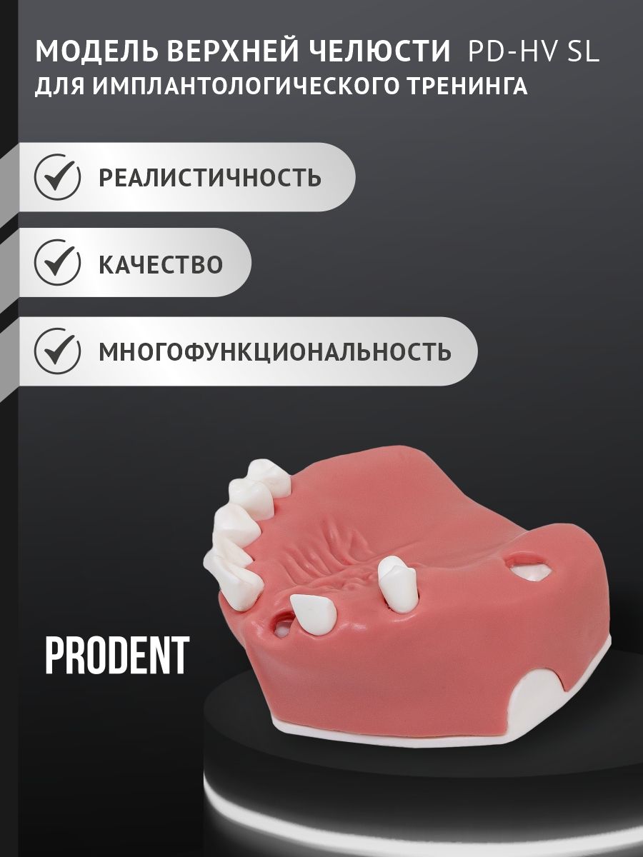 Учебная стоматологическая модель верхней челюсти, стоматологический тренажер, имитация челюсти.