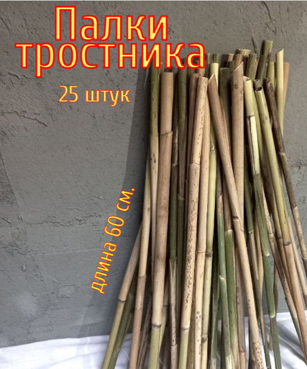 Держатель садовый, опора для растений 25 шт 60 см. держатели опоры садовые.  Палки колышки для декора интерьера. Подвязка комнатных цветов. - купить с  доставкой по выгодным ценам в интернет-магазине OZON (803652000)