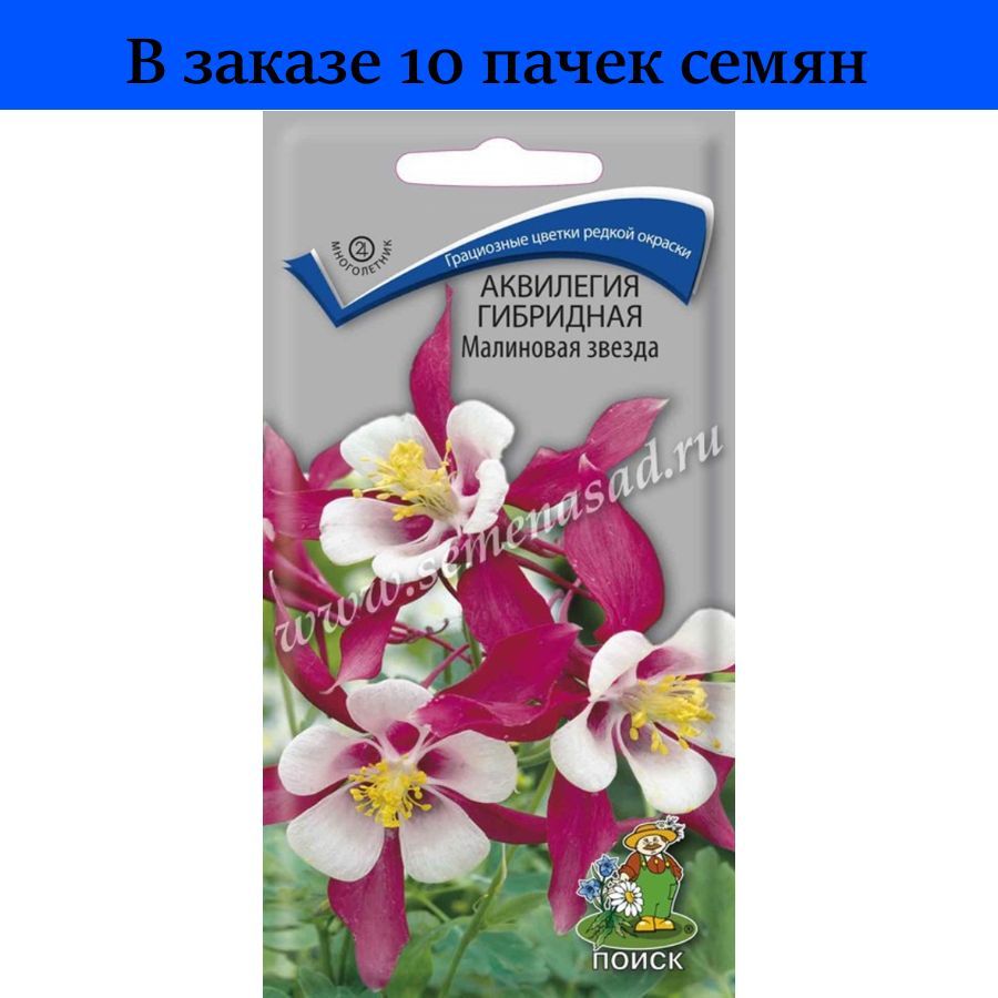 Аквилегия Купить