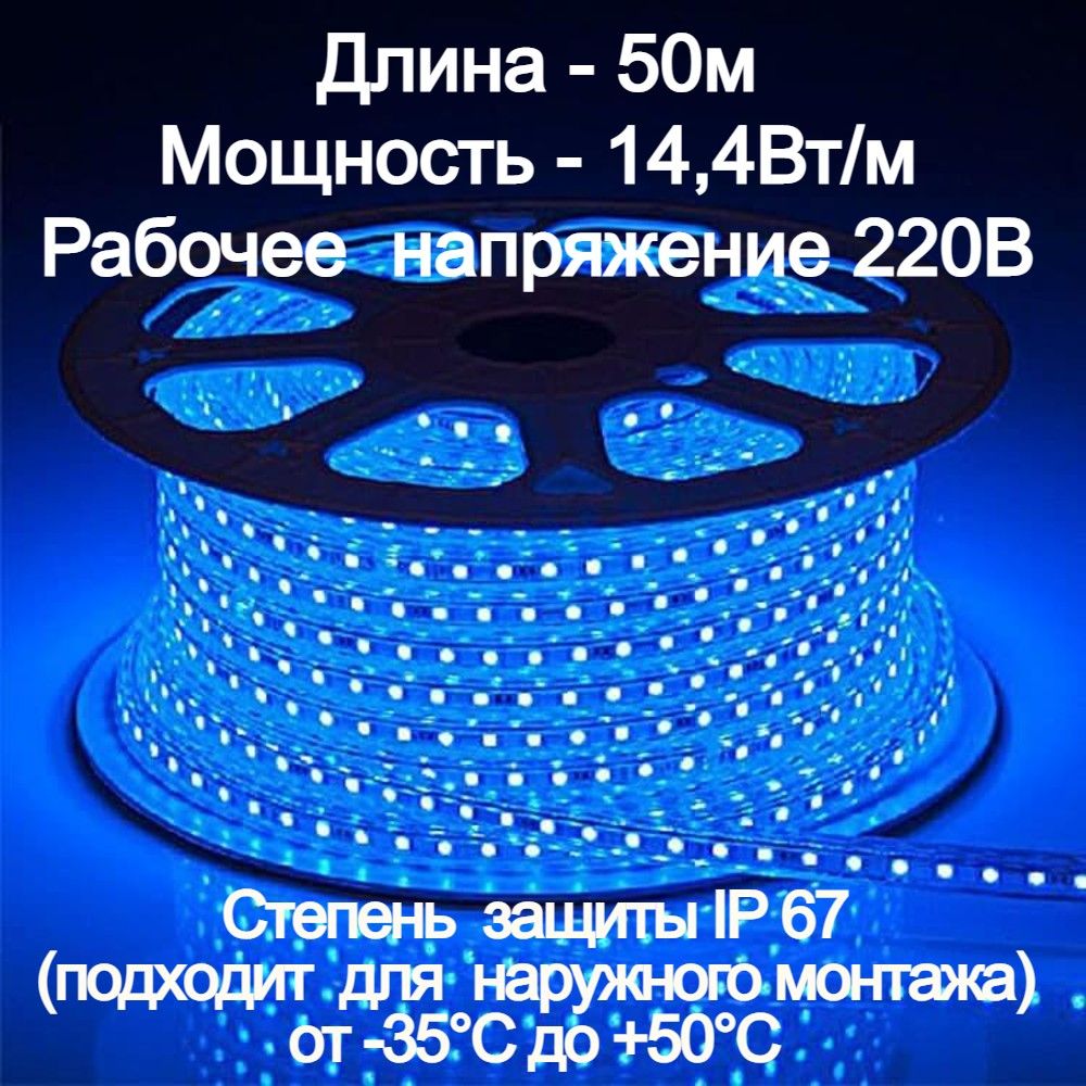 Светодиодная лента LEEK, 220В, IP67, 60 LED/m лееклента220_14.4 - купить по  выгодной цене в интернет-магазине OZON (811122696)