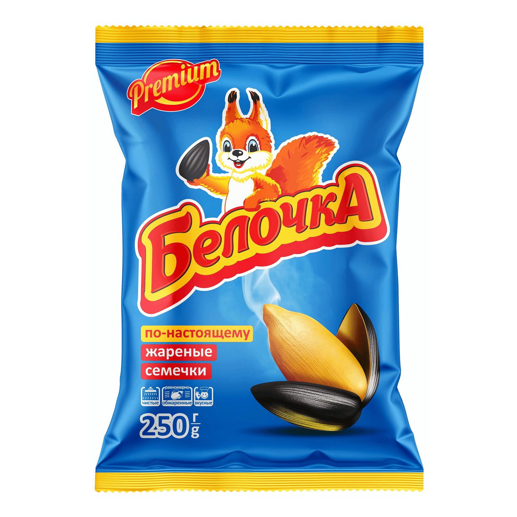 Белочка семечки картинка
