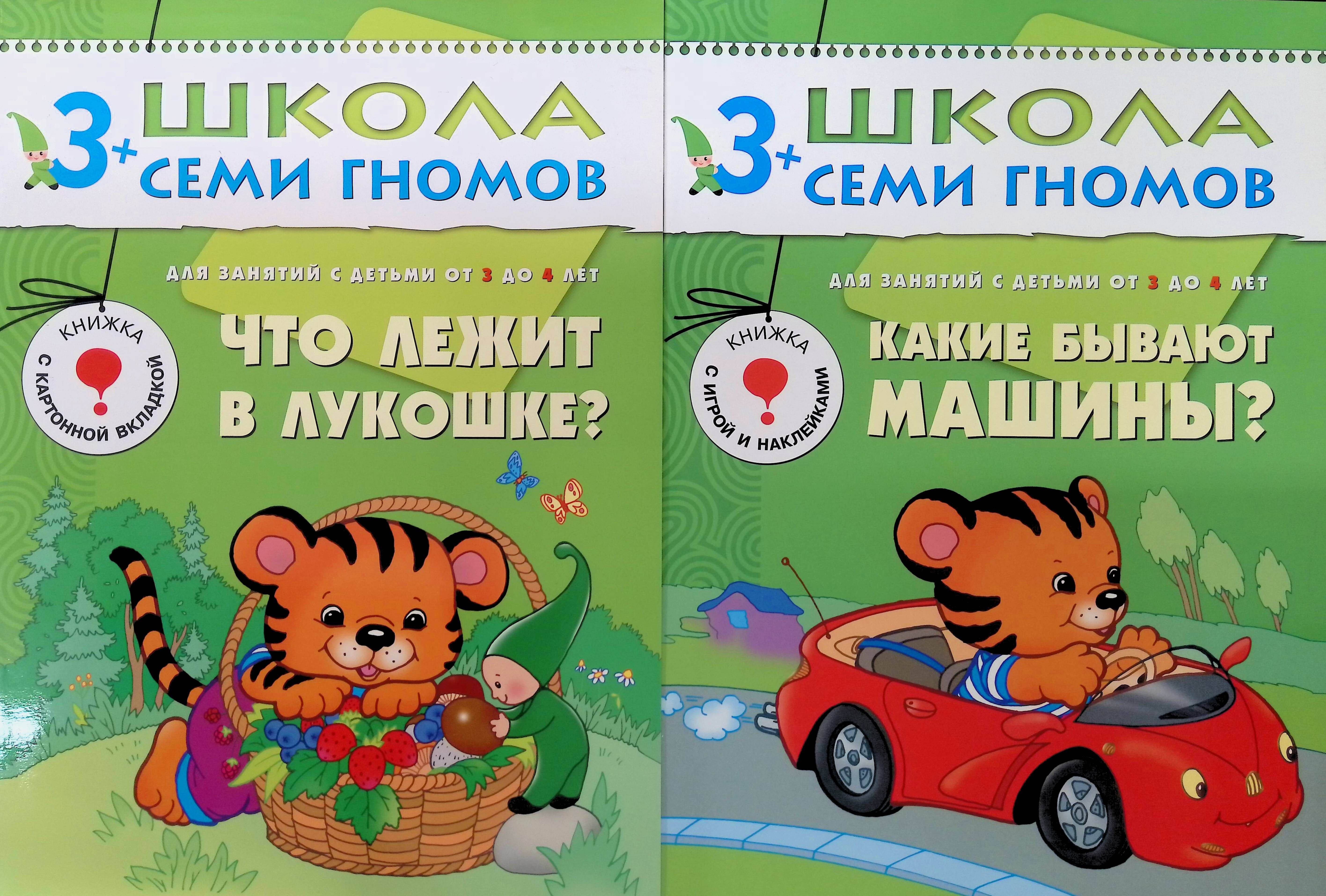 Комплект из 2 книг: Что лежит в лукошке?; Какие бывают машины?