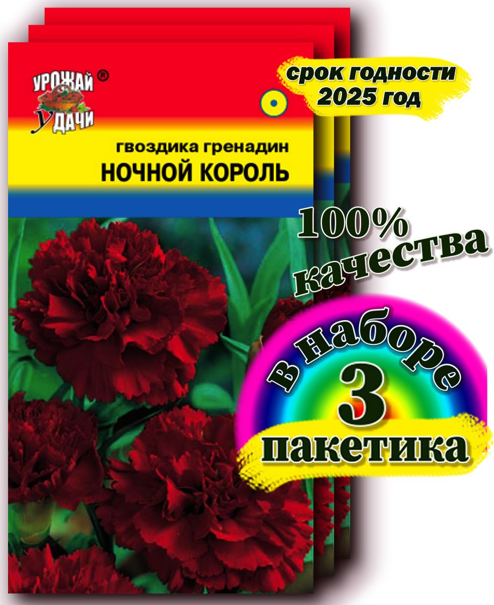 Гвоздики многолетние Урожай удачи цветы1_3_Гвоздика Гренадин Ночной Король  - купить по выгодным ценам в интернет-магазине OZON (839978914)