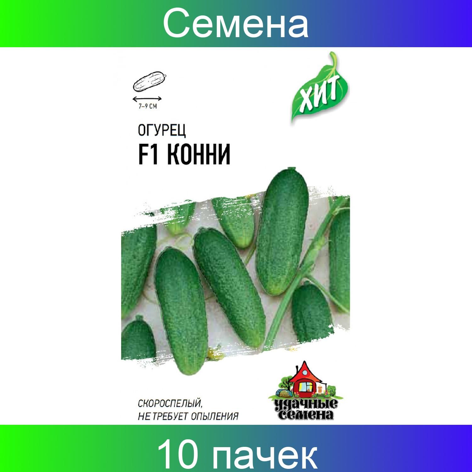 Сорт огурцов Конни f1