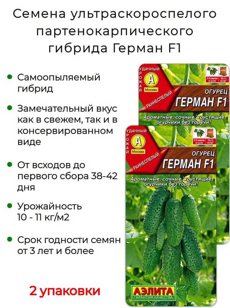 Купить Семена Огурца Кономор