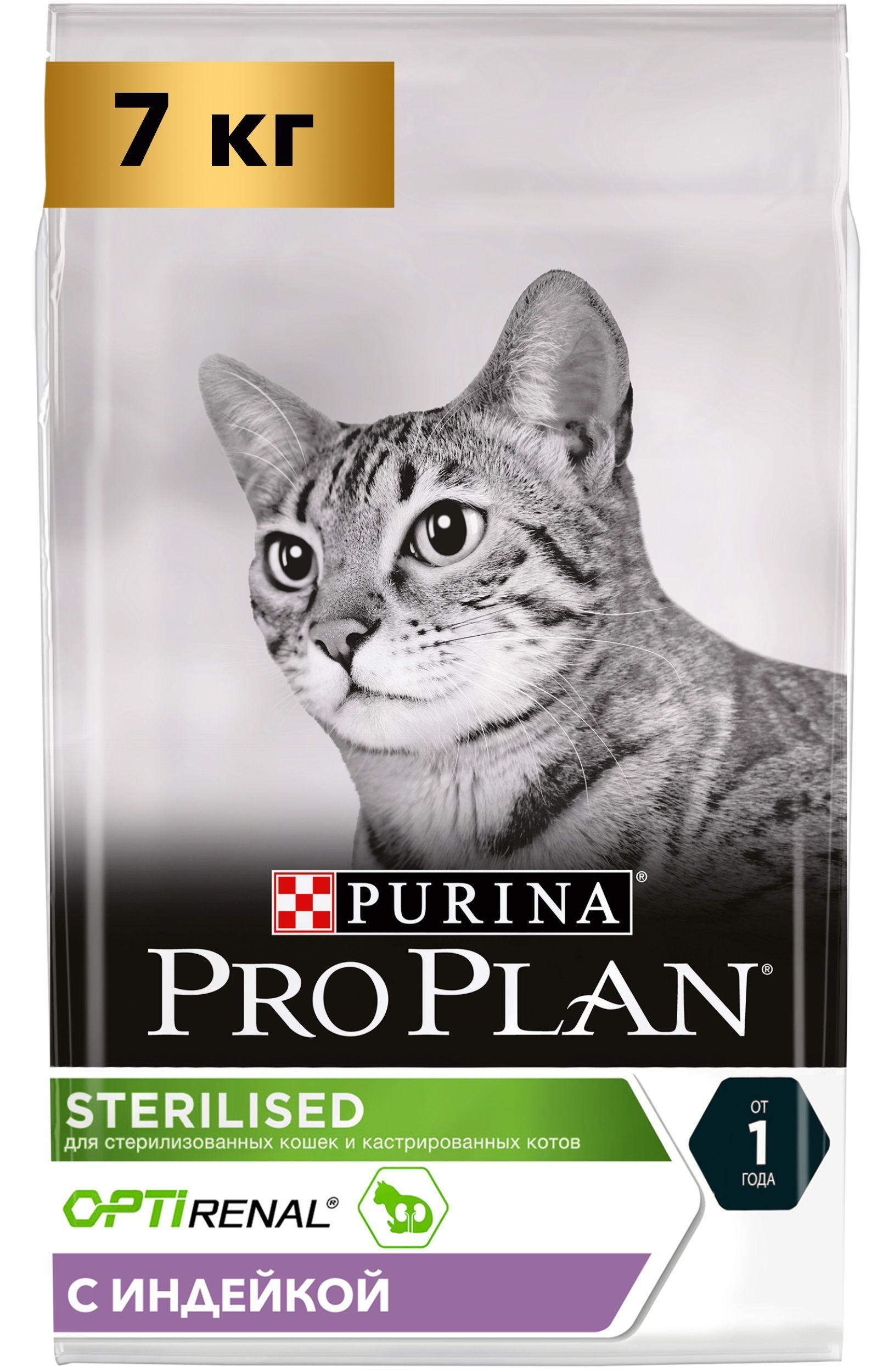 Купить Корм Pro Plan Для Котят