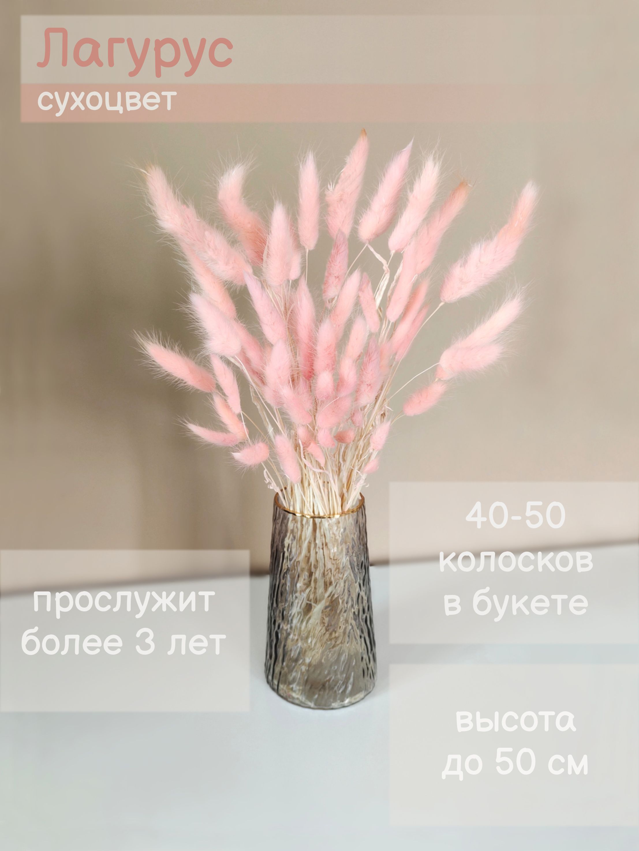 Сухоцветы Лагурус, 50 см, 100 гр, 50 шт