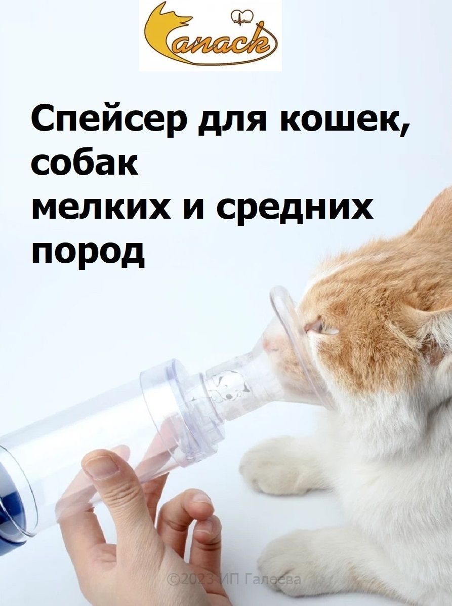 Спейсер Ветеринарный купить на OZON по низкой цене