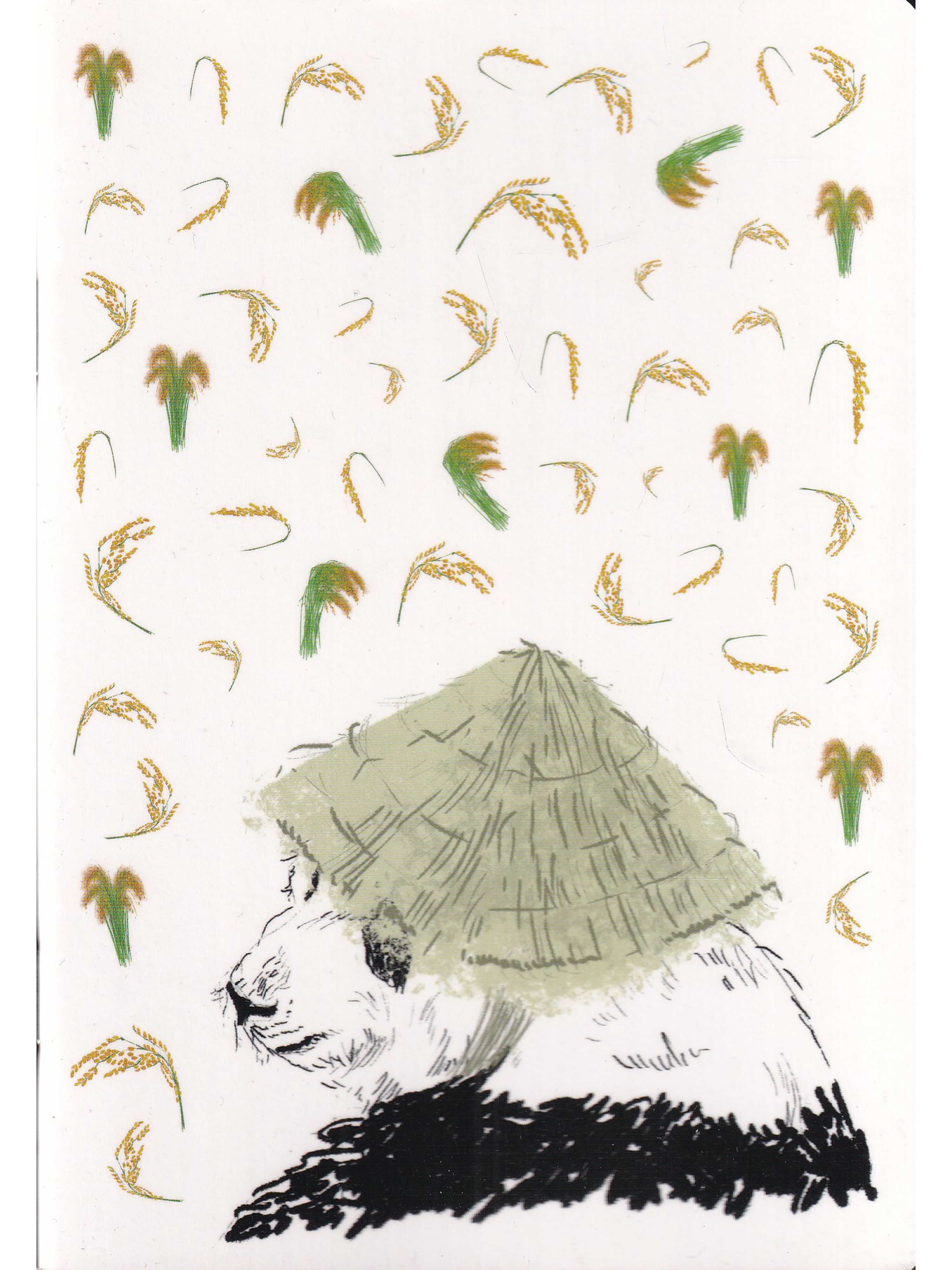 тетради рис