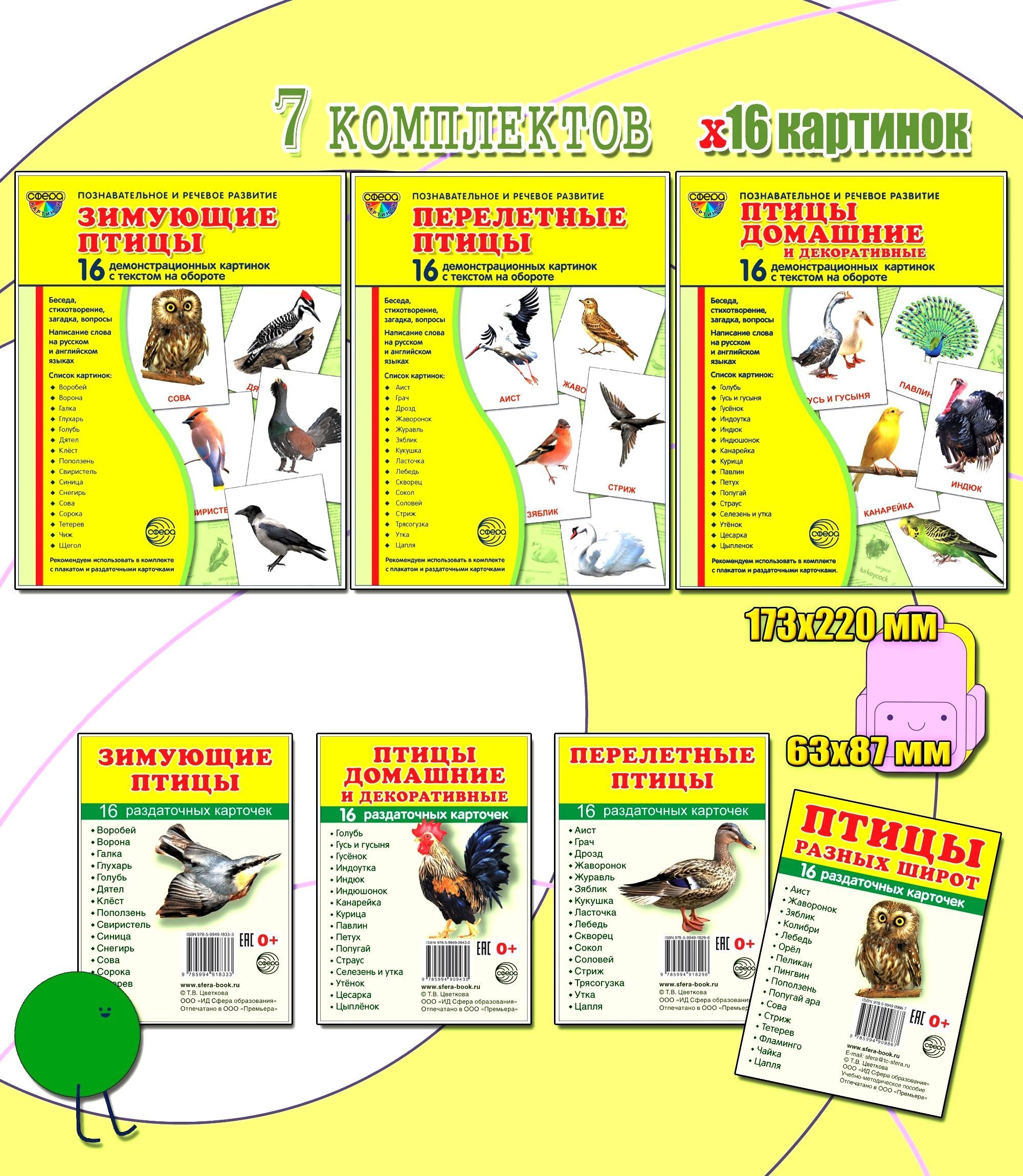 Набор. Демонстрационные картинки СУПЕР Птицы: перелетные, зимующие,  домашние и декоративные - купить с доставкой по выгодным ценам в  интернет-магазине OZON (983729027)