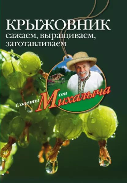 Крыжовник. Сажаем, выращиваем, заготавливаем | Звонарев Николай Михайлович | Электронная книга