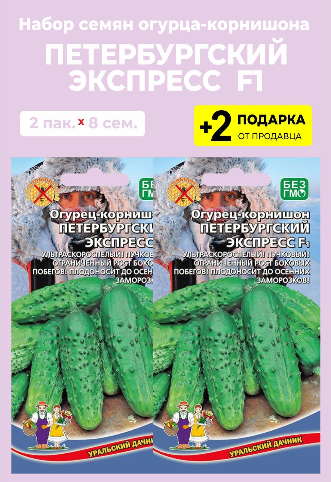 Петербургский экспресс отзывы. Огурец Петербургский экспресс. Петербургский экспресс огурец фото. Огурец Петербургский экспресс f1 фото. Огурец экспресс f1 описание отзывы.