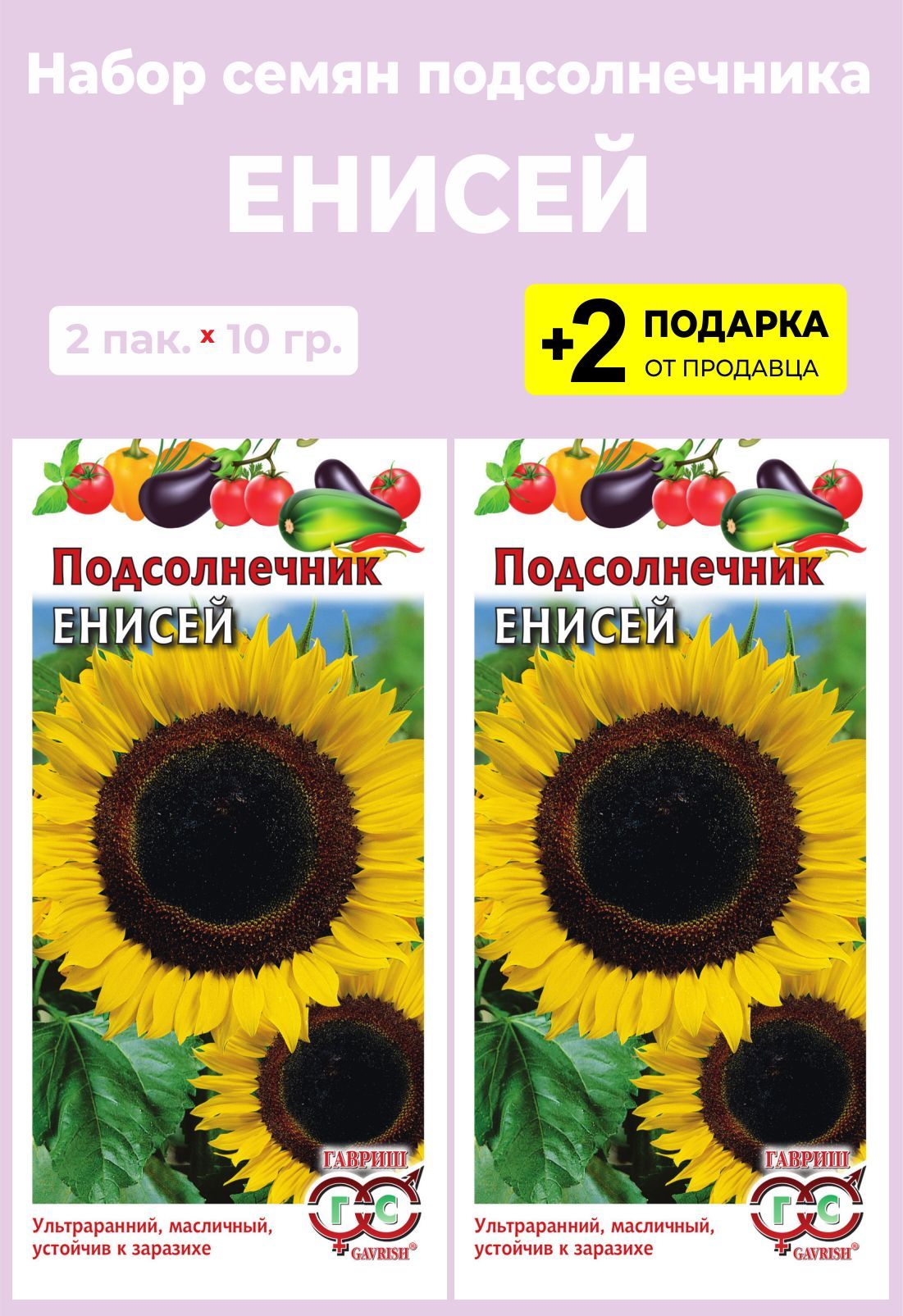 Семена Подсолнечника Енисей Купить