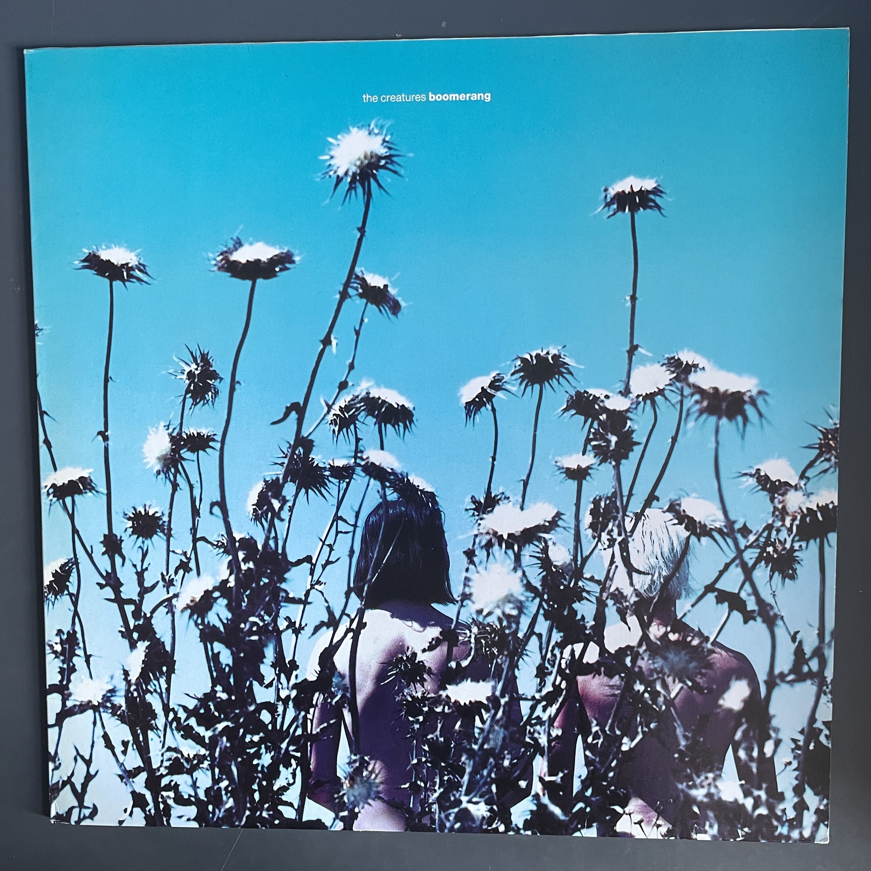 The creatures band. Monsters of the mind. Zyx music cd galaxis. Creatures believe in yourself. The creatures be often.