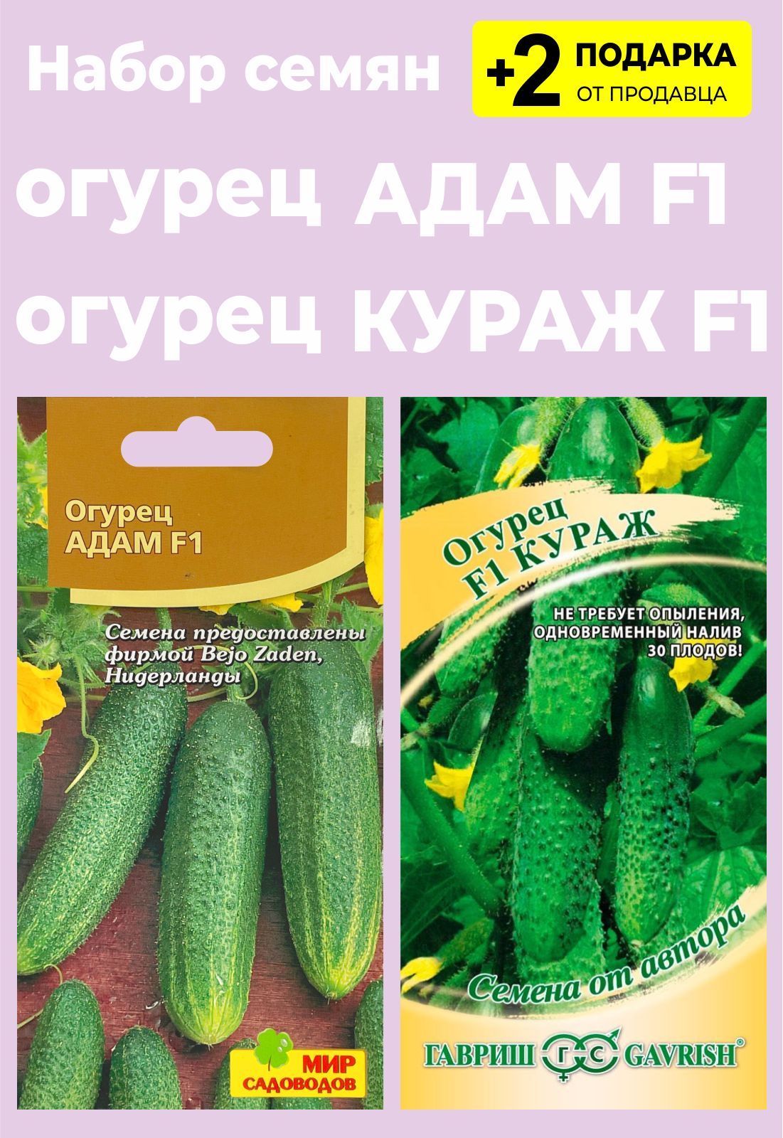 Кураж Огурцы Купить Семена