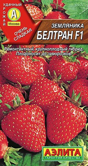 Земляникакрупноплоднаяремонтантная"БелтранF1"семенаАэлитадлябалкона,подоконника,открытогогрунтаитеплицы,5шт