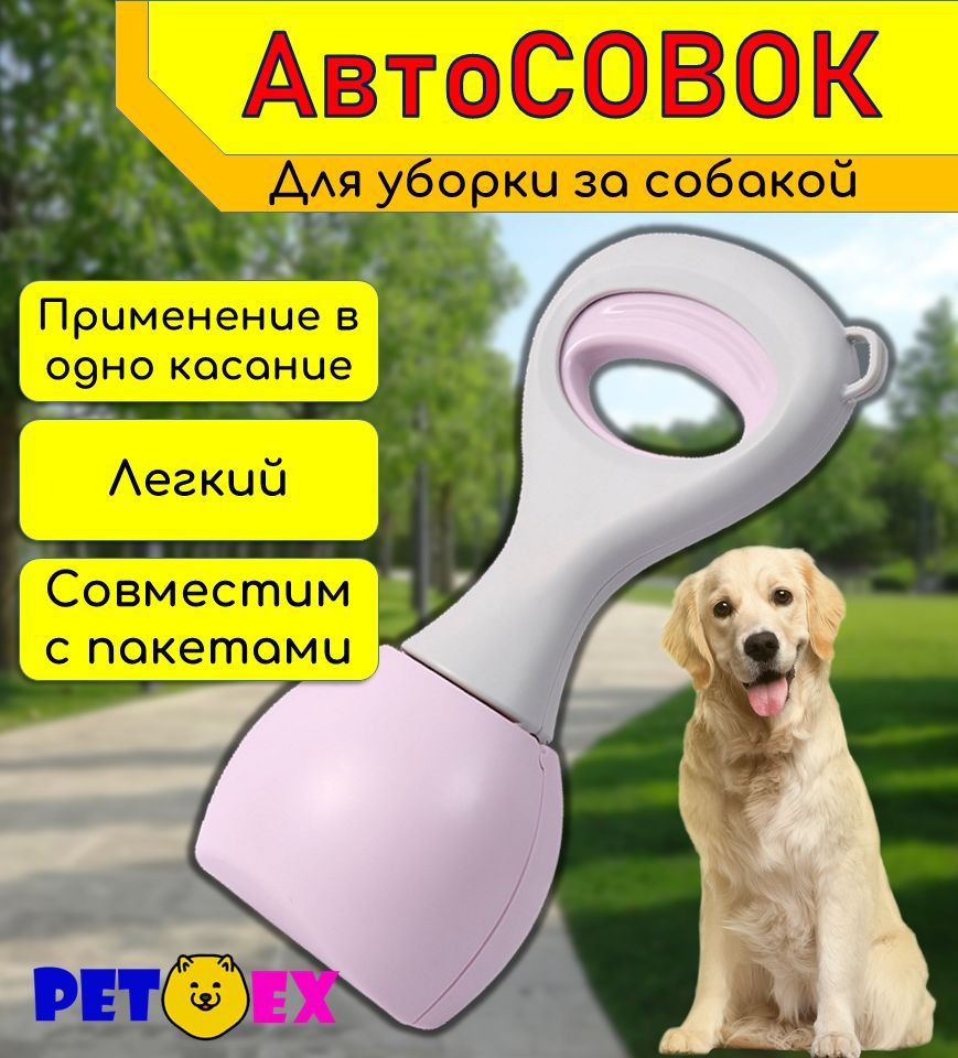 Машина совок. Автоподбор машины. Машина с совком. Совки машины. Авто под лупой.