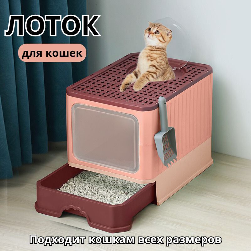 Кот гадит мимо лотка по-большому