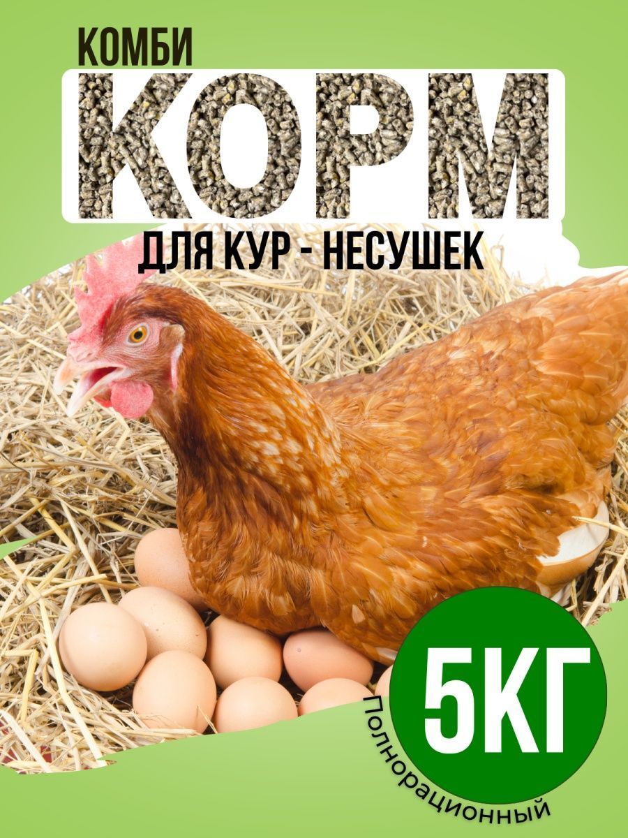 Комбикорм для кур несушек старт (ПК-2) 5кг - купить с доставкой по выгодным  ценам в интернет-магазине OZON (1083162608)