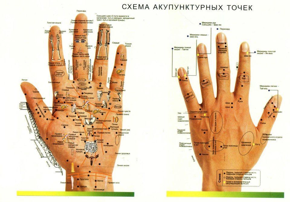 Точка на левой руке. Акупунктура тела человека схема ладонь. Акупунктурные точки на руке человека схема. Акупунктурные точки на ладони человека. Акупунктурные точки на ладони человека схема расположения.