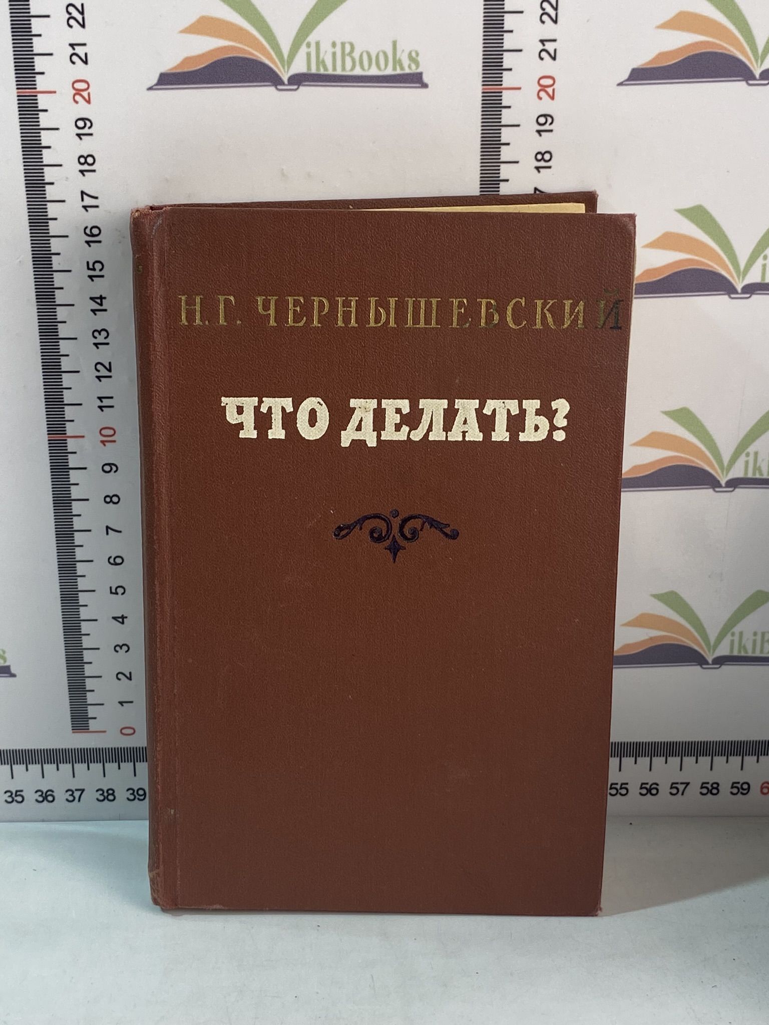 Чернышевский Что Делать Фото