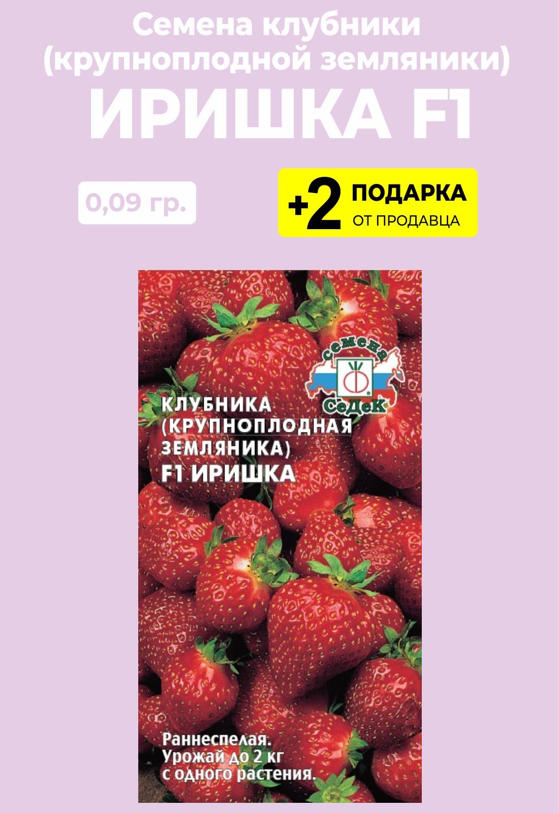 Земляника Иришка. Клубника Иришка описание сорта. Характеристики клубники Иришка.