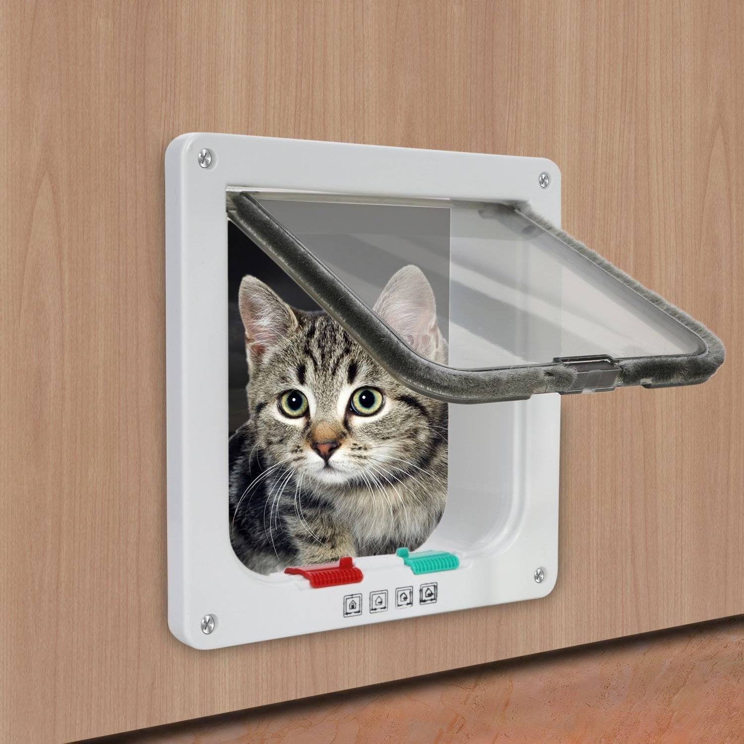 Cat door 1. Лючок для кошки в дверь. Дверца для кошек в дверь. Дверца ЛАЗ для кошек. ЛАЗ для кошки в двери.