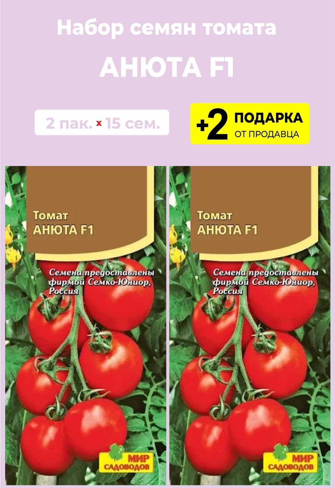 Помидоры анюта. Томат-черри Блосэм" f1. Черри Блосэм f1. Томат толстый Боцман семена Алтая.