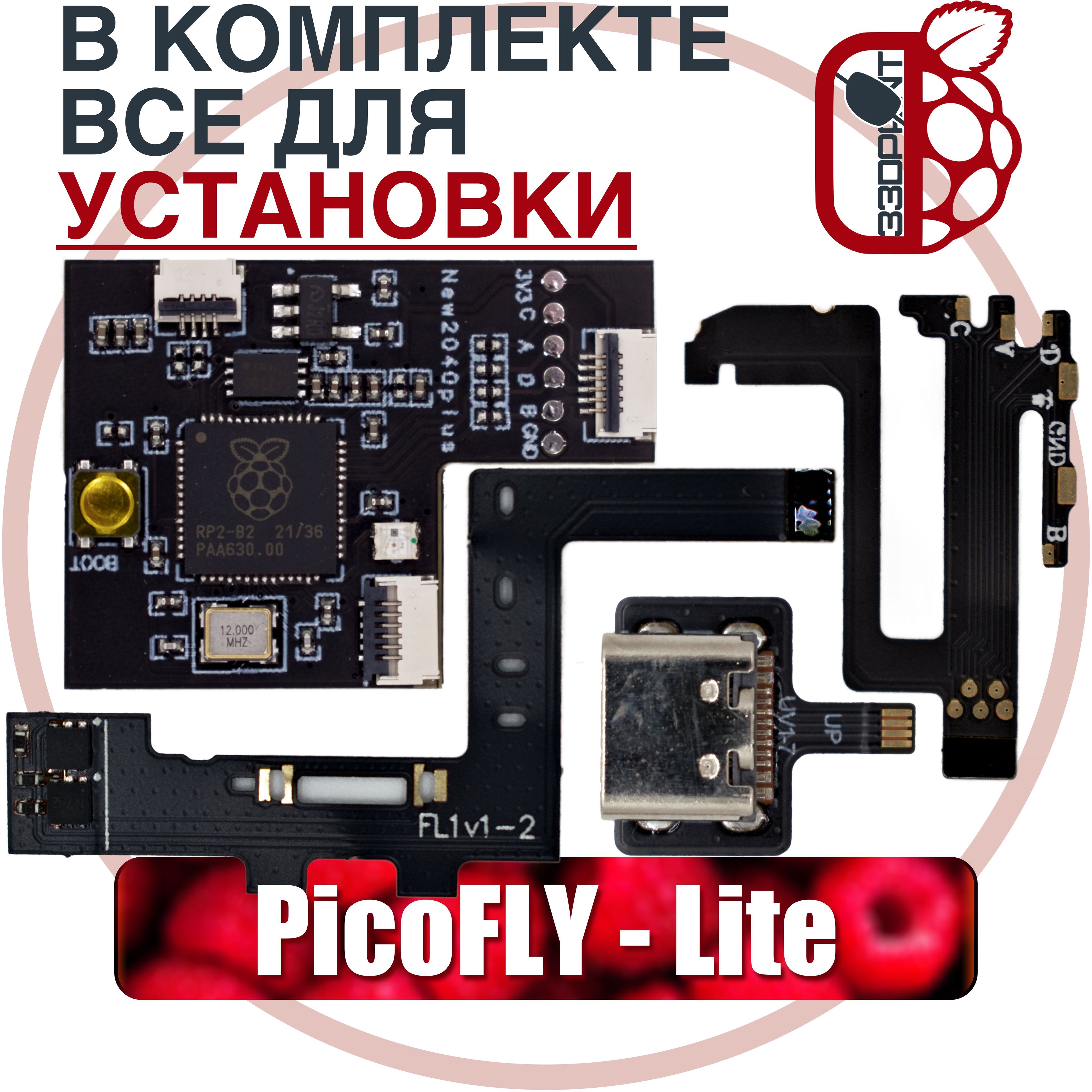 Picofly nintendo switch. Picofly rp2040. HWFLY rp2040 Lite. Picofly Switch. Picofly Nintendo.