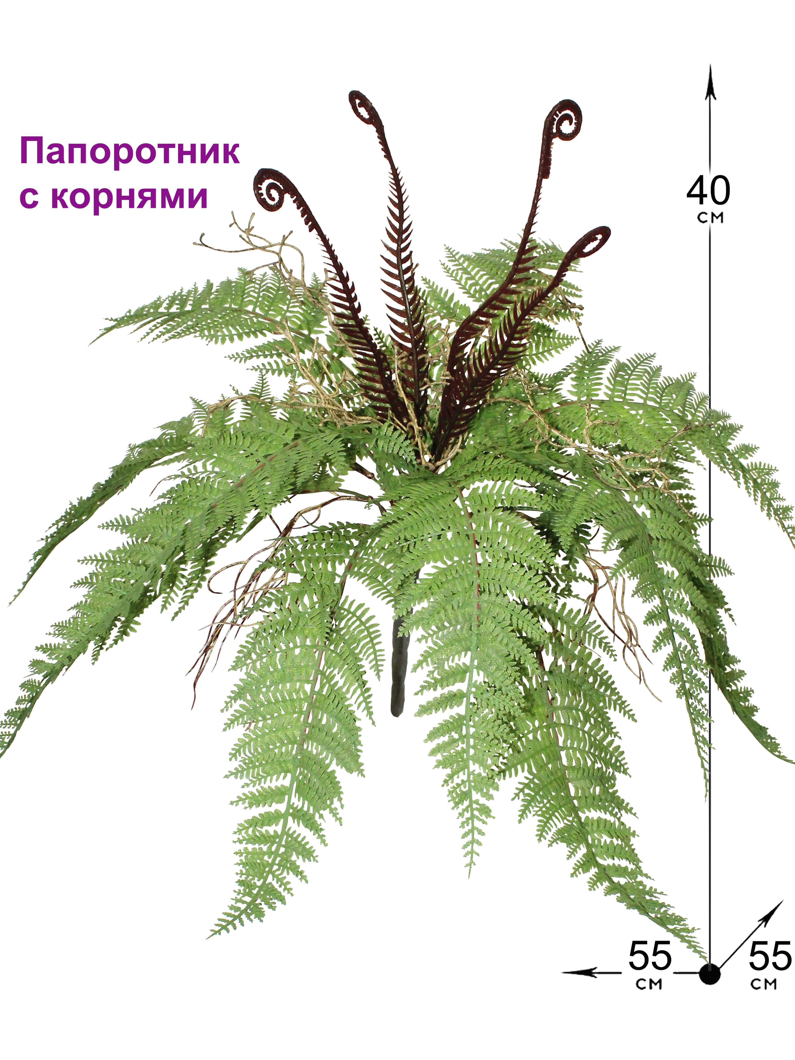 Купить Папоротник искусственный с корнями, ФитоПарк по выгодной цене в  интернет-магазине OZON.ru (1268362894)