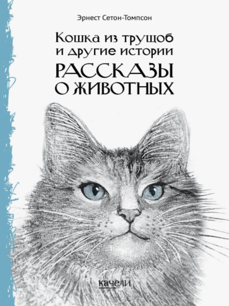 Э сетон королевская аналостанка. Сетон Томпсон Королевская Аналостанка. Королевская Аналостанка книга. Кошка из трущоб Сетон-Томпсон.