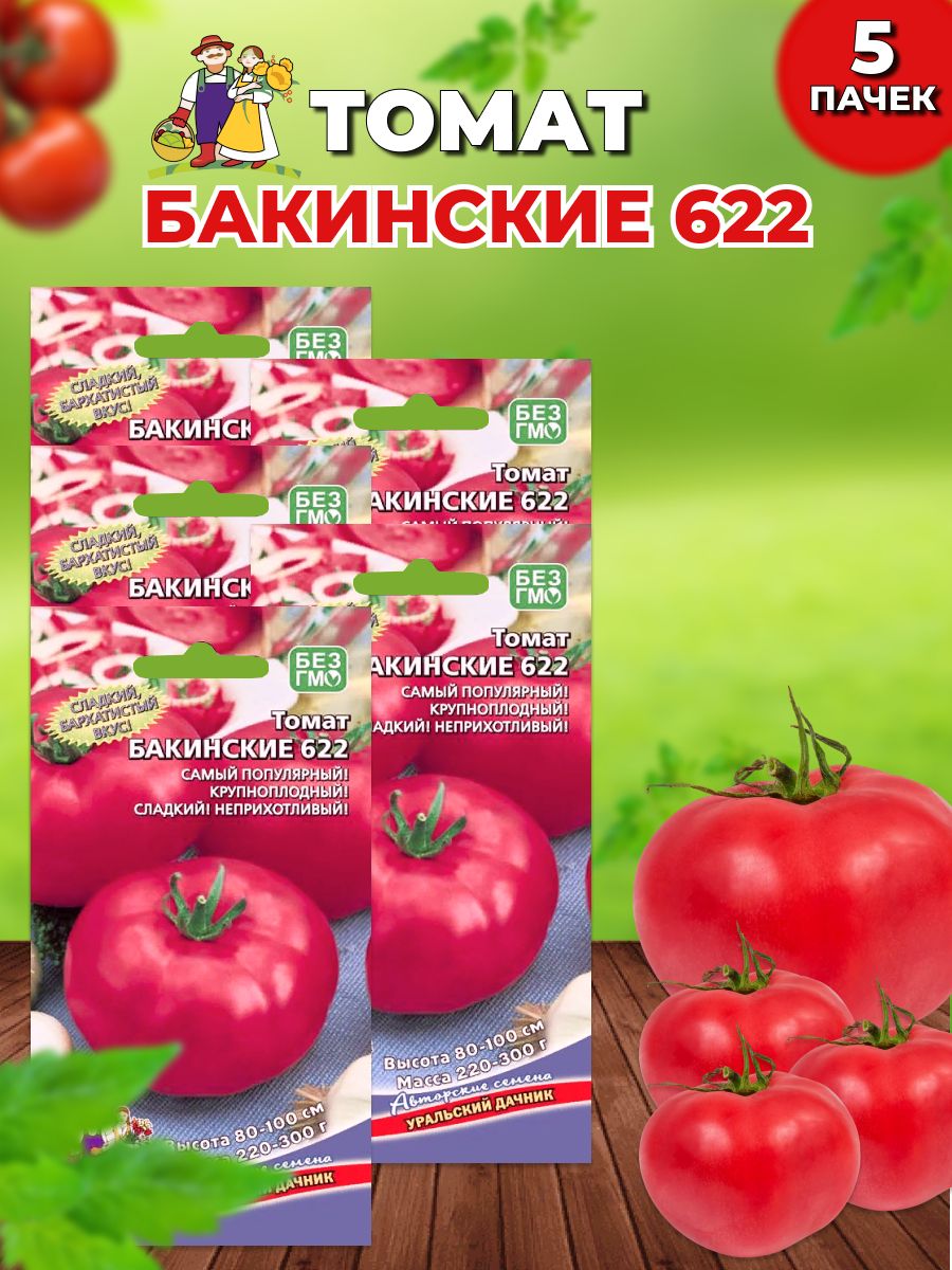 Бакинский томат описание сорта фото. Томат Бакинские 622. Бакинские помидоры семена. Помидоры Дачник. Томат Бакинский 622 отзывы.