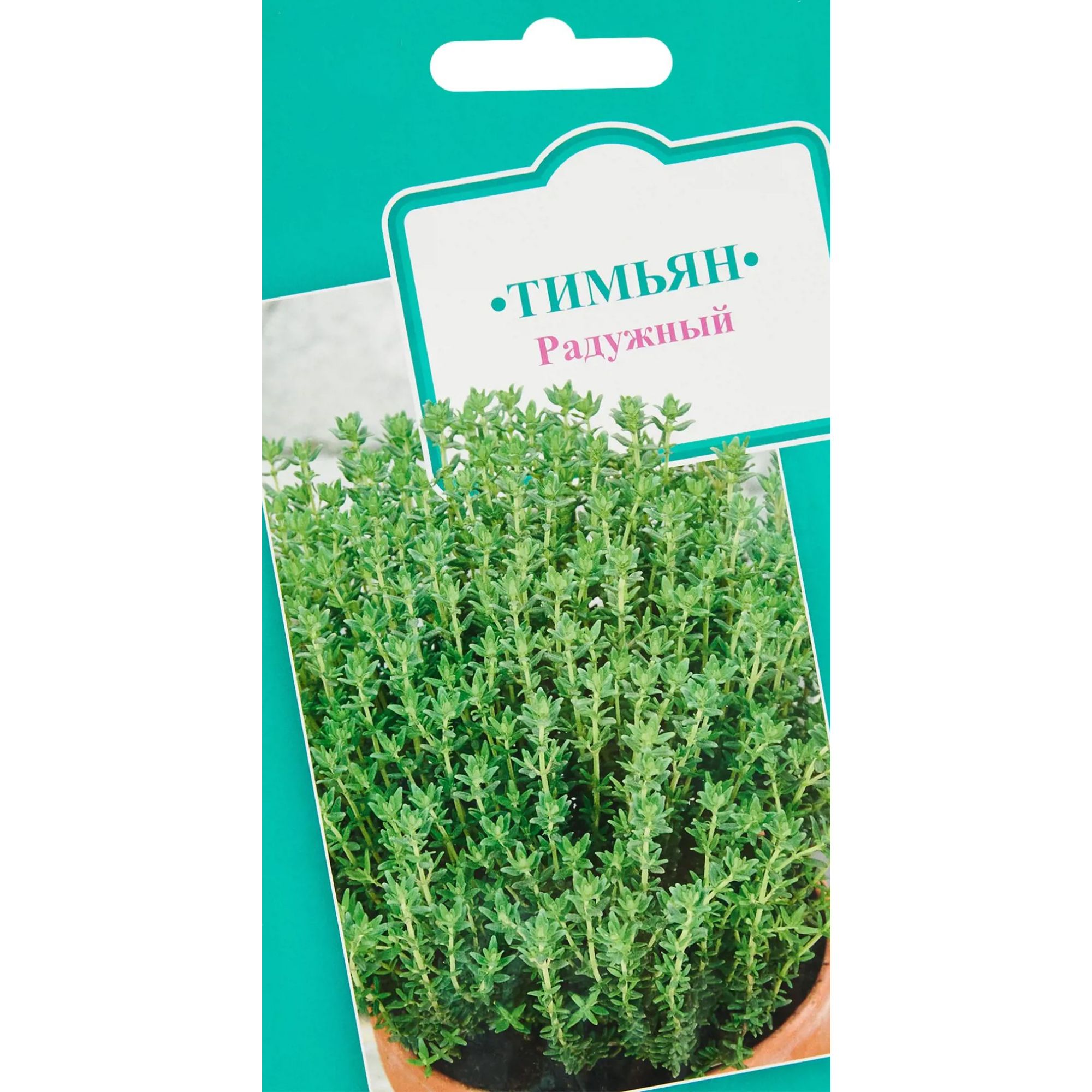 Тимьян ароматный ковер. Тимьян ползучий мэджик карпет. Тимьян ползучий семена. Кресс ползучий тимьян. Тимьян ползучий пурпурный.