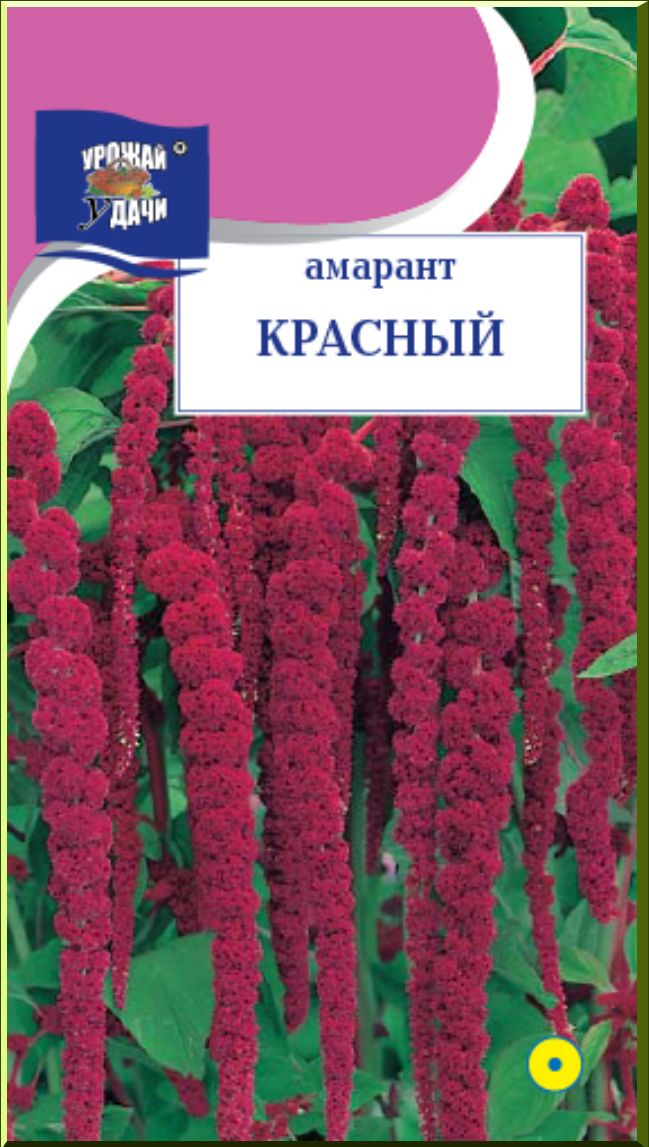 Амарант Харьковский 1 Купить Семена В России