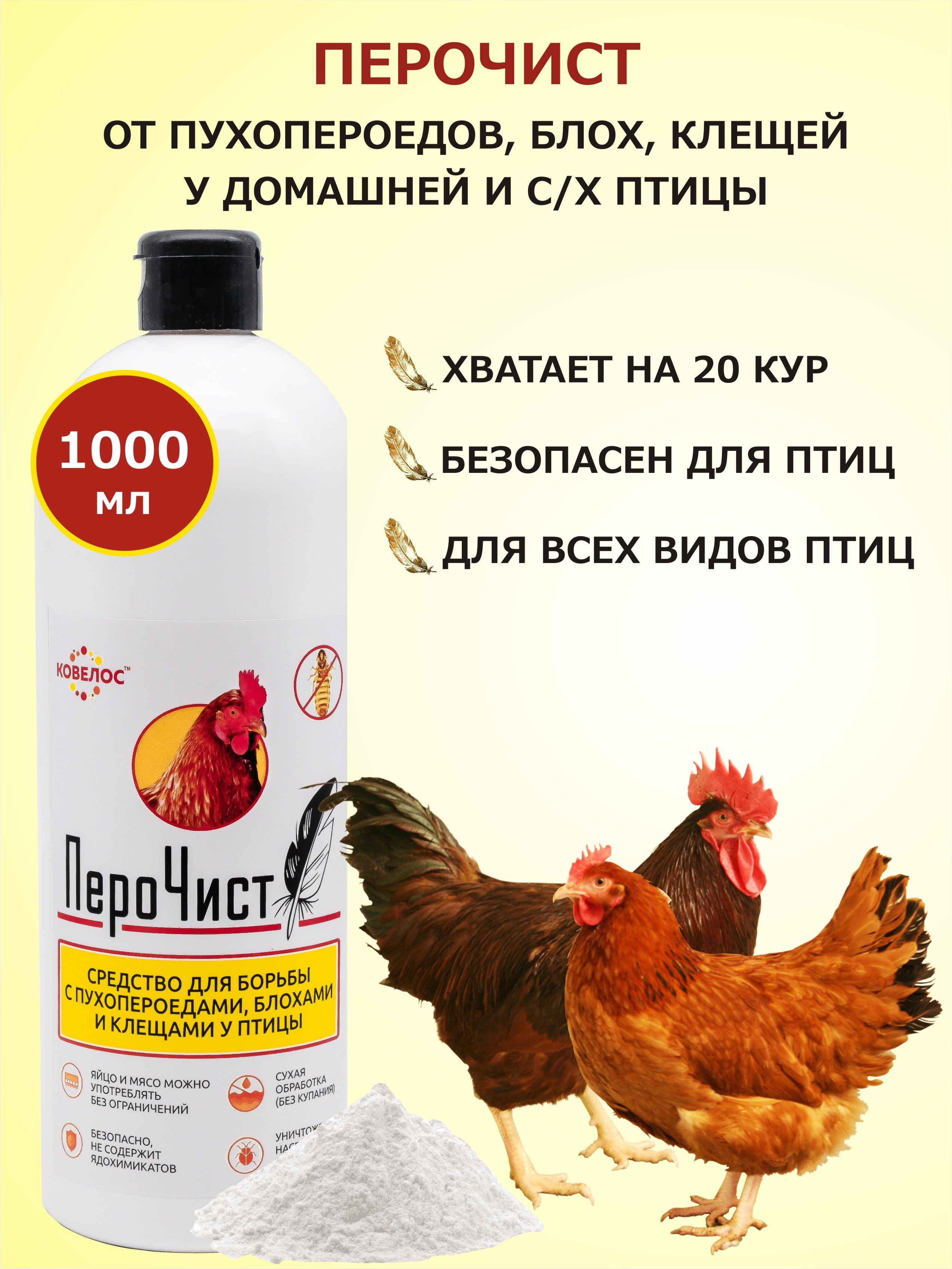 Выращивание несушек для продажи яиц как бизнес | Rooster, Animals