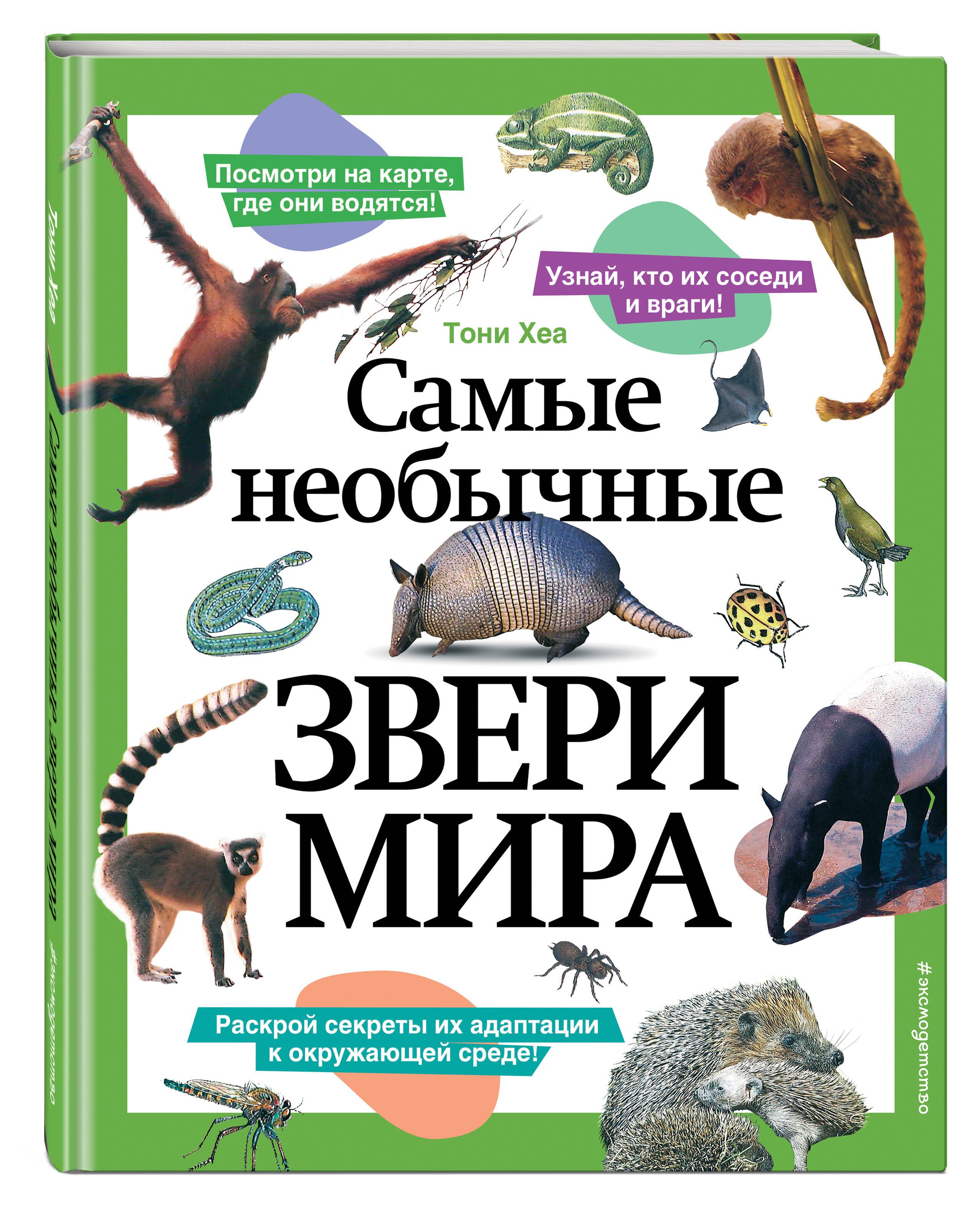 Самые необычные звери мира | Хеа Тони - купить с доставкой по выгодным  ценам в интернет-магазине OZON (1342436635)