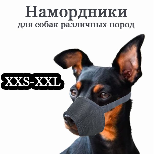 Намордник кожаный 