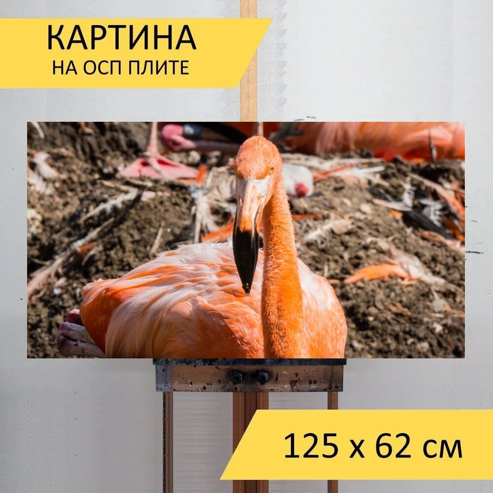 Картина животных 