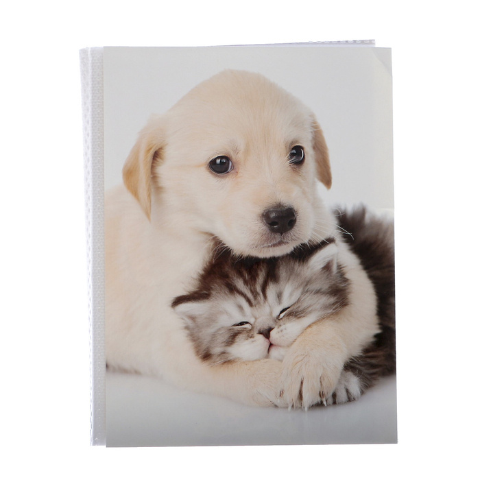 Фотоальбом Pioneer "Puppies and kittens. Друзья" на 36 фото 10х15 см #1