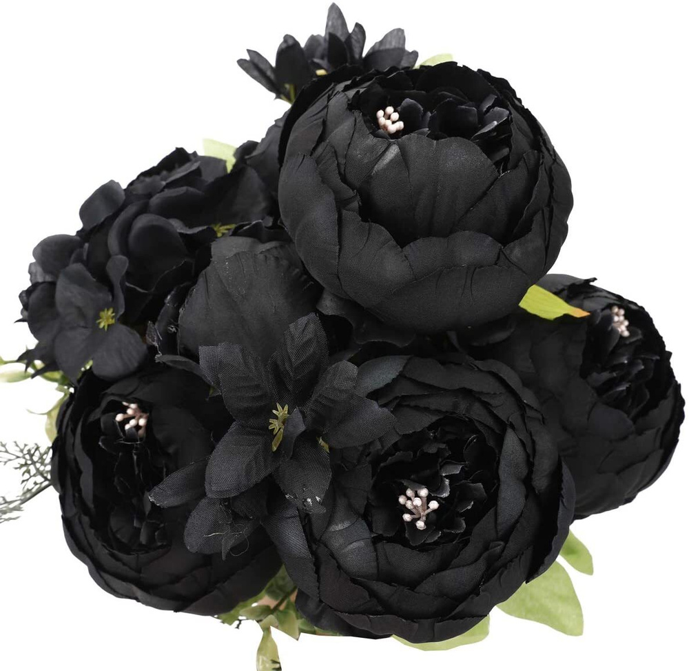 Пион Black Silk