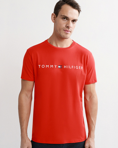 tommy hilfiger cn ss tee logo flag