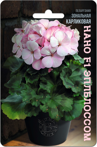 Пеларгонии (Герань) Биотехника Пеларгония Нано - купить по выгодным ...