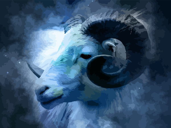 Коза, овца своими руками. Символ 2015 года