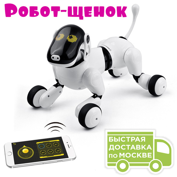 Робот собака DGMedia Дружок (русифицированная) - RT18023 Белый - купить ...