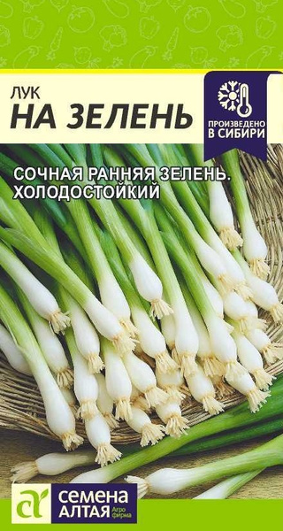 Лук Семена Алтая Лук на зелень уличный СА - купить по выгодным ценам в ...