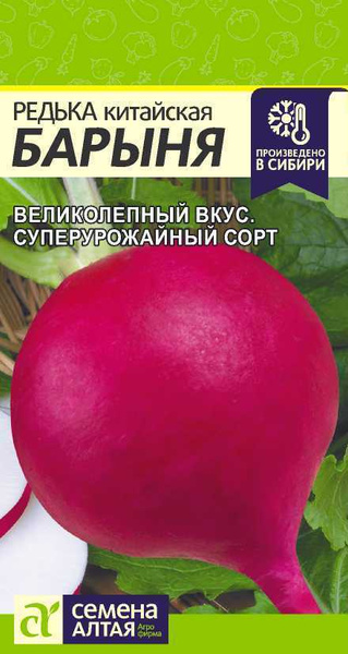 Редька Семена Алтая Редька Барыня Зимняя красная - купить по выгодным ...