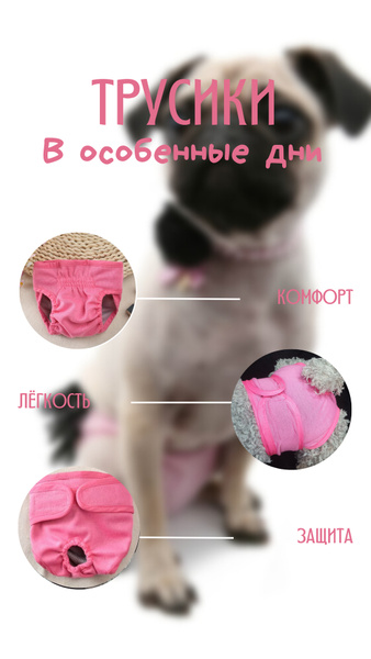 Трусы для собак на время течки,размер S,гигиенические ,многоразовые ...