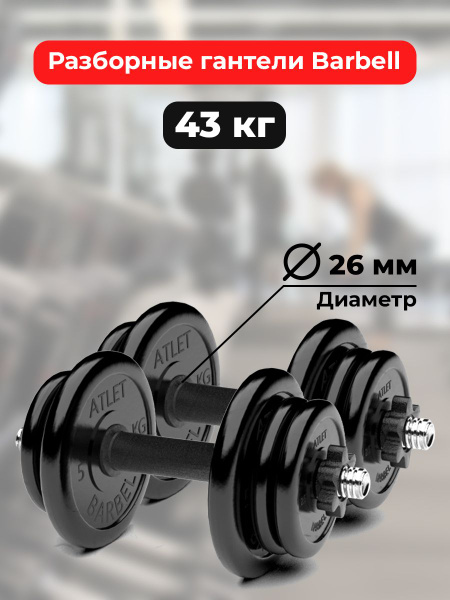 Гантели MB BARBELL Atlet Барбелл парные, 2 шт. по 21.5 кг, черный ...